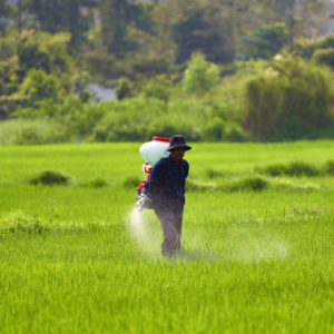 Biofertilización