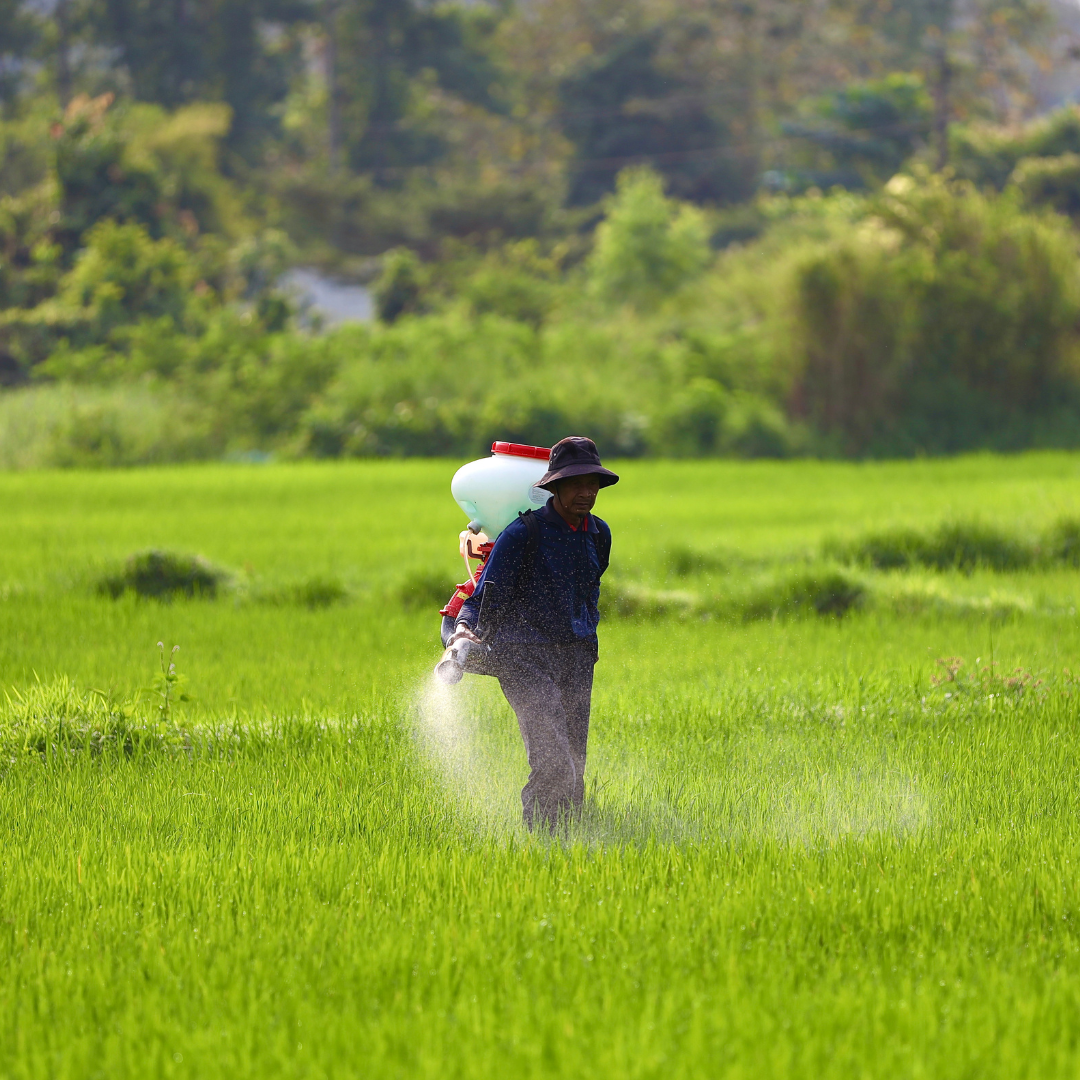 Biofertilización